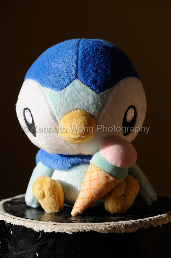 [012_Original_Direct_Sun.jpg]