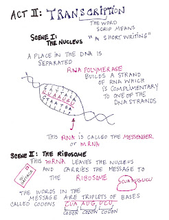 Photosynthesis reactants image