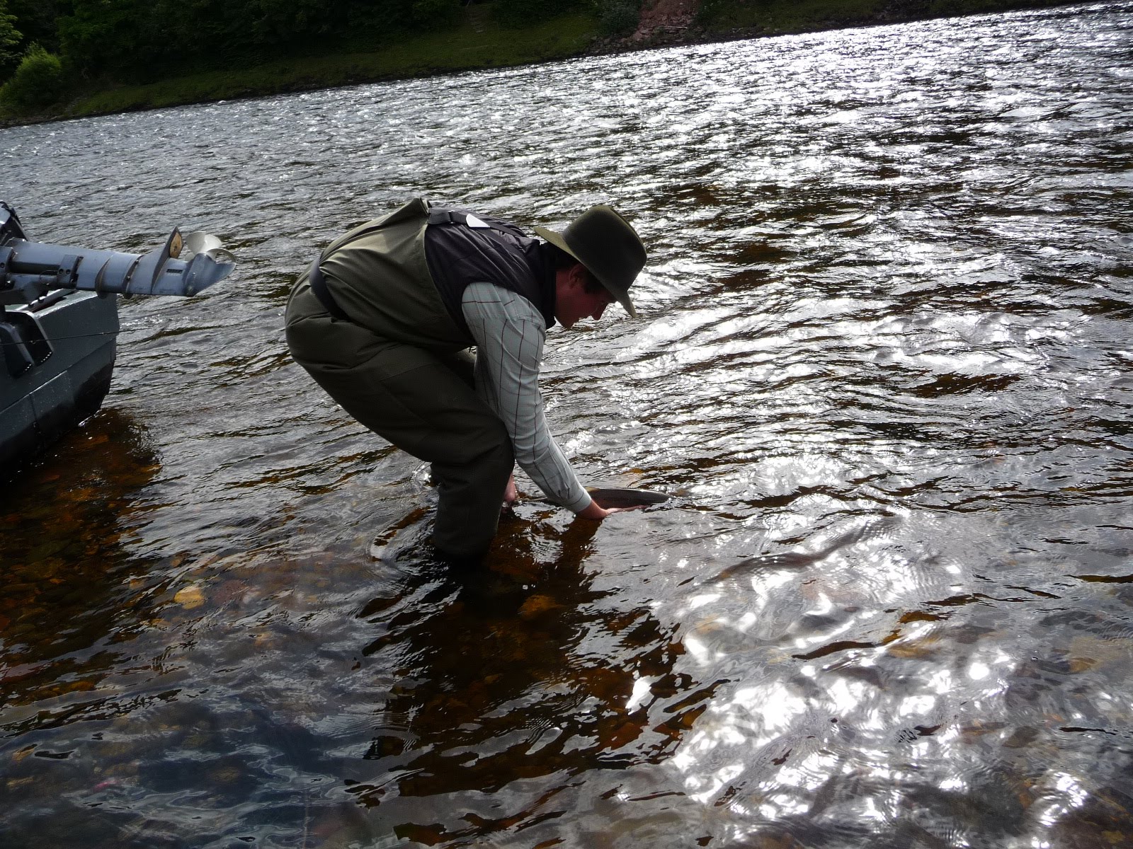 Salmon Fishing Scotland. Salmon Fishing Scotland Catching Summer