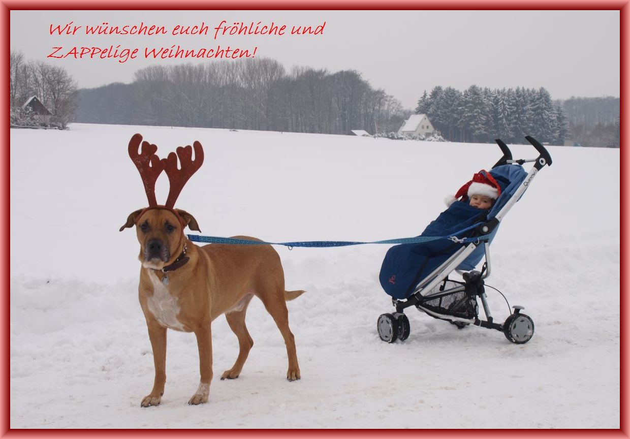 Einmal Werden Wir Noch Wach Küken-Kram in Tüten: Einmal werden wir noch wach...