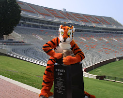 The Tiger and The Rock