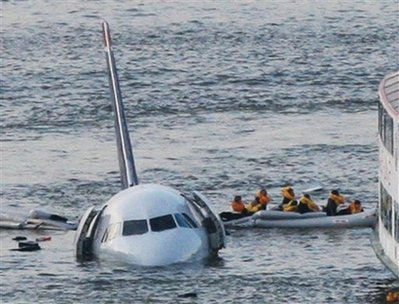 birdstrike3.jpg