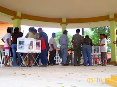 VOTACIONES ACAPULCO 2008