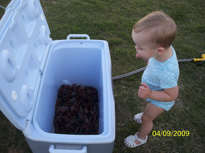 Checkin out the crawling crawfish