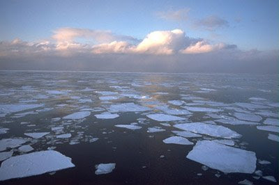 Global Warming facts