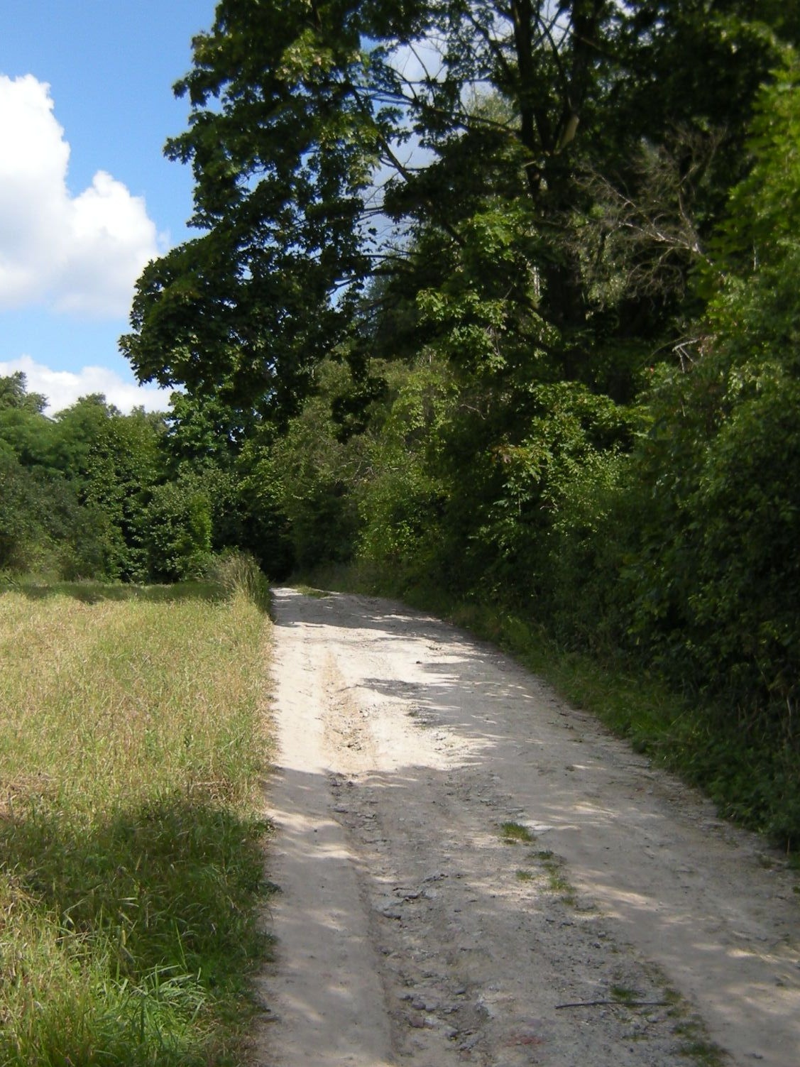 Wierciszów=Pińczów