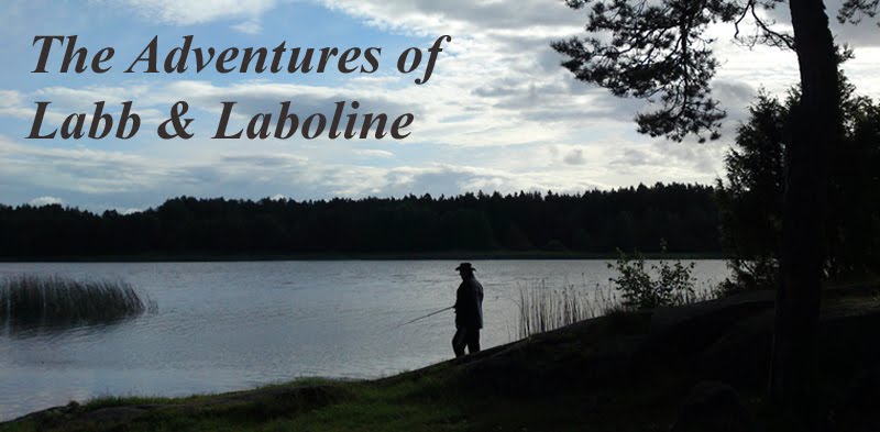 The adventures of Labb & Laboline