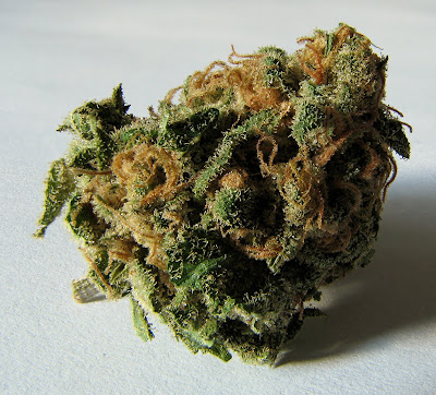 Macro_cannabis_bud.jpg