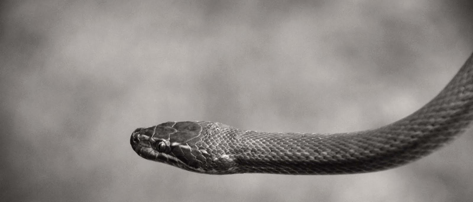 [DSC_0684_edited-2.jpg]