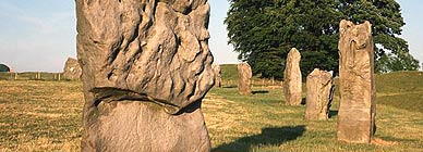 [7f51597d74efce4875a02b26e961290902bf8269.jpg]