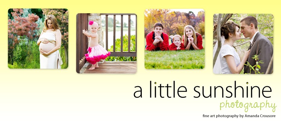 A Little Sunshine Photography