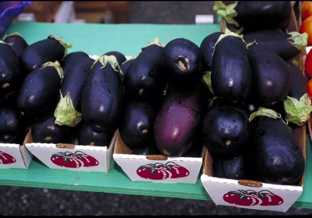 femonomics: Recipe Fridays: Eggplant rollatini