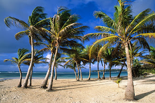 La Caravelle Beach. Grande Terre Island, Guadeloupe, West Indies