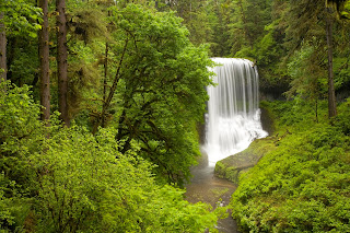 Middle North Falls, Silver Falls State Park in Spring, Oregon