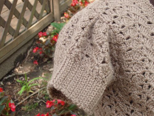 [942183789_3525c6b55b.jpg]