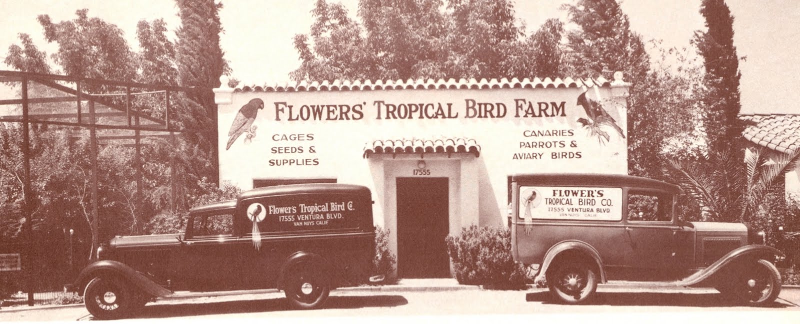 The Museum of the San Fernando Valley SAN FERNANDO VALLEY TROPICAL BIRD FARM IN THE 1930s