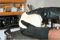 [provolone4.gif]