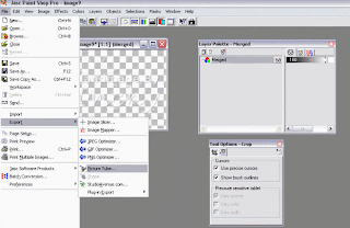 Inspirational Tips, Techniques & Tutorials: 2008-06-08