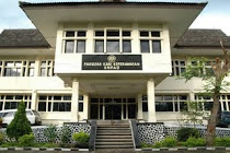 Nursing Faculty