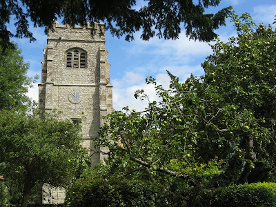 Egerton church tower seen behind an apple tree