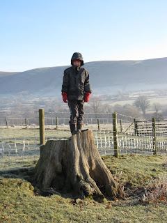 Cameron on a high tree stump