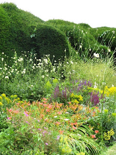 Uneven hedge and wild flower border
