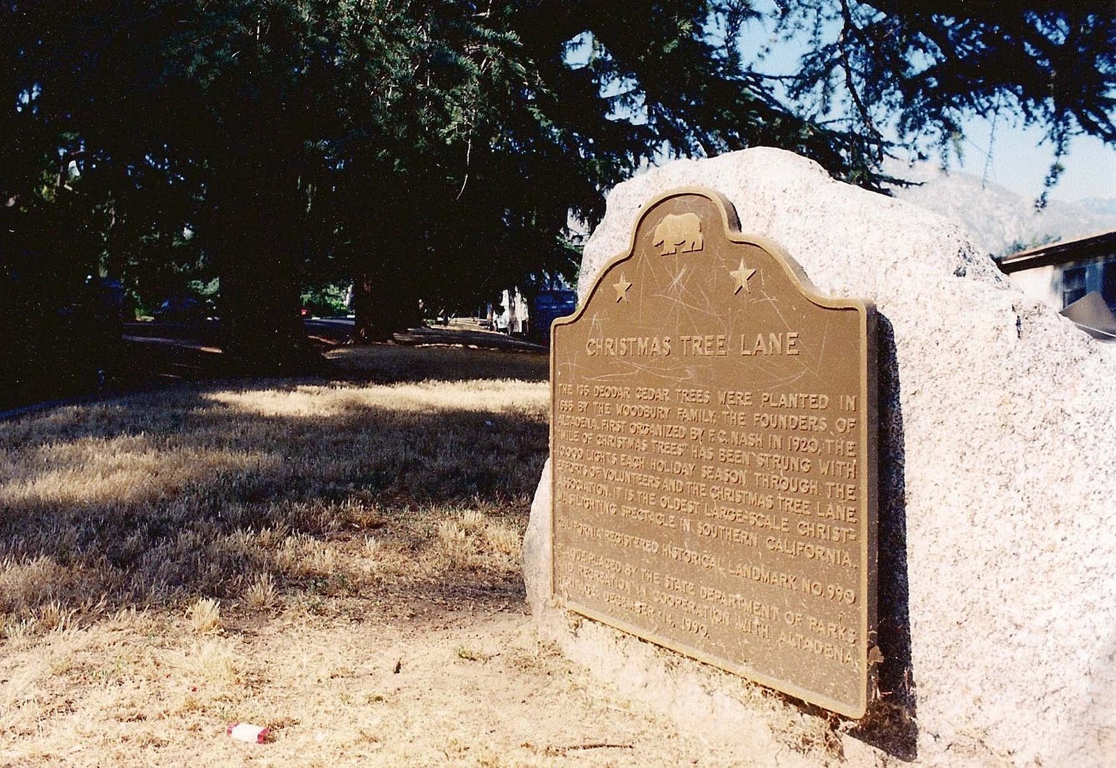 Landmark Adventures Christmas Tree Lane