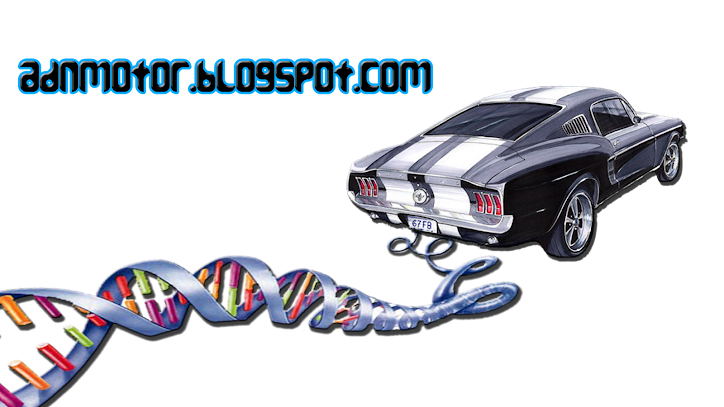 ADN Motor - Todo sobre coches