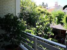 View from the balcony