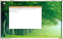 screenshot linux