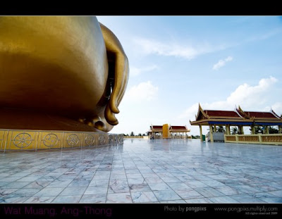 largest_buddha_statue_11.jpg