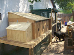 Our Chicken Coop