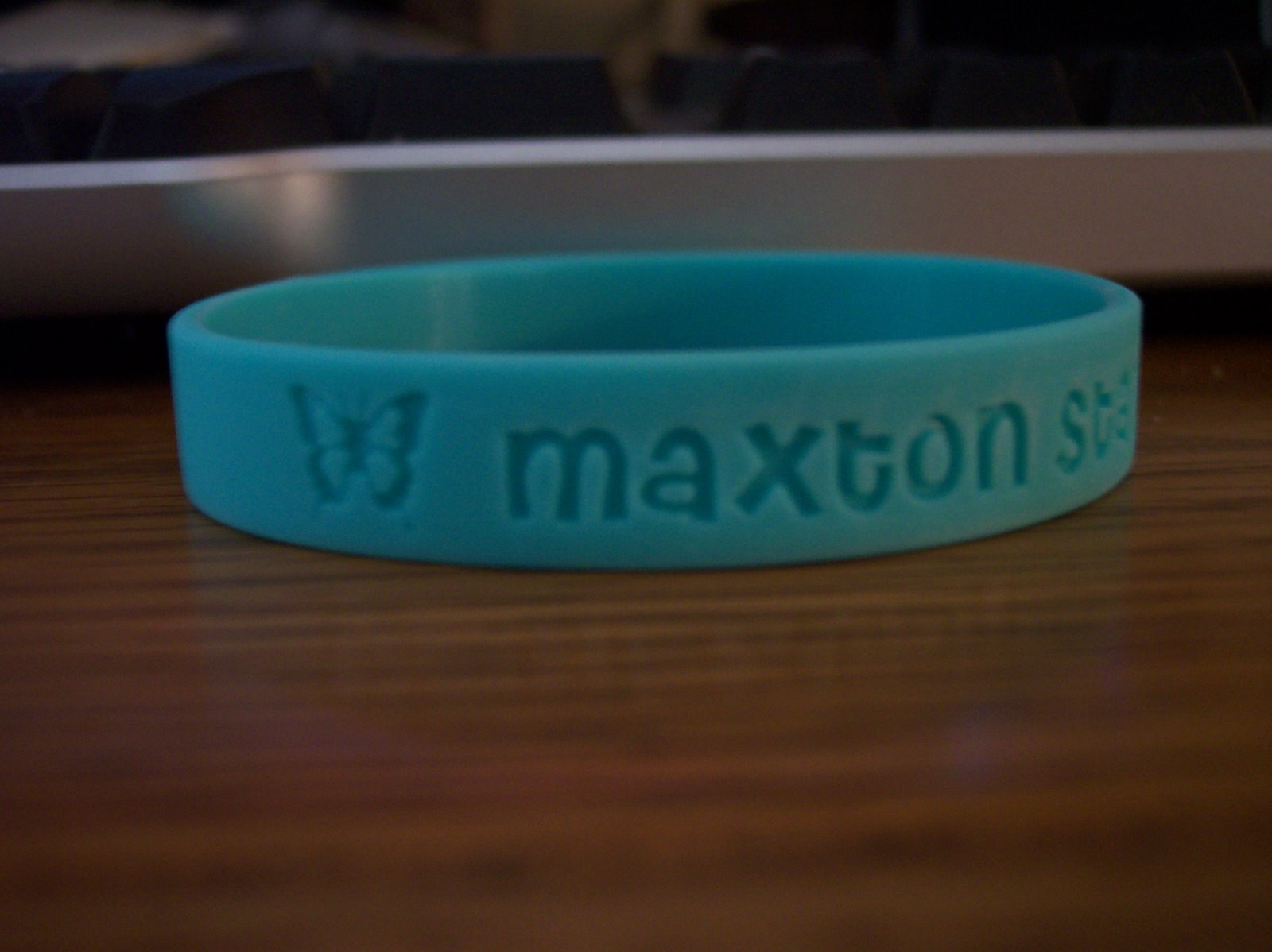 [max+bracelet+009.JPG]
