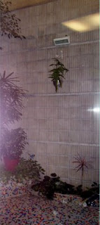 Quadrat: Patio de aire y luz aburrido