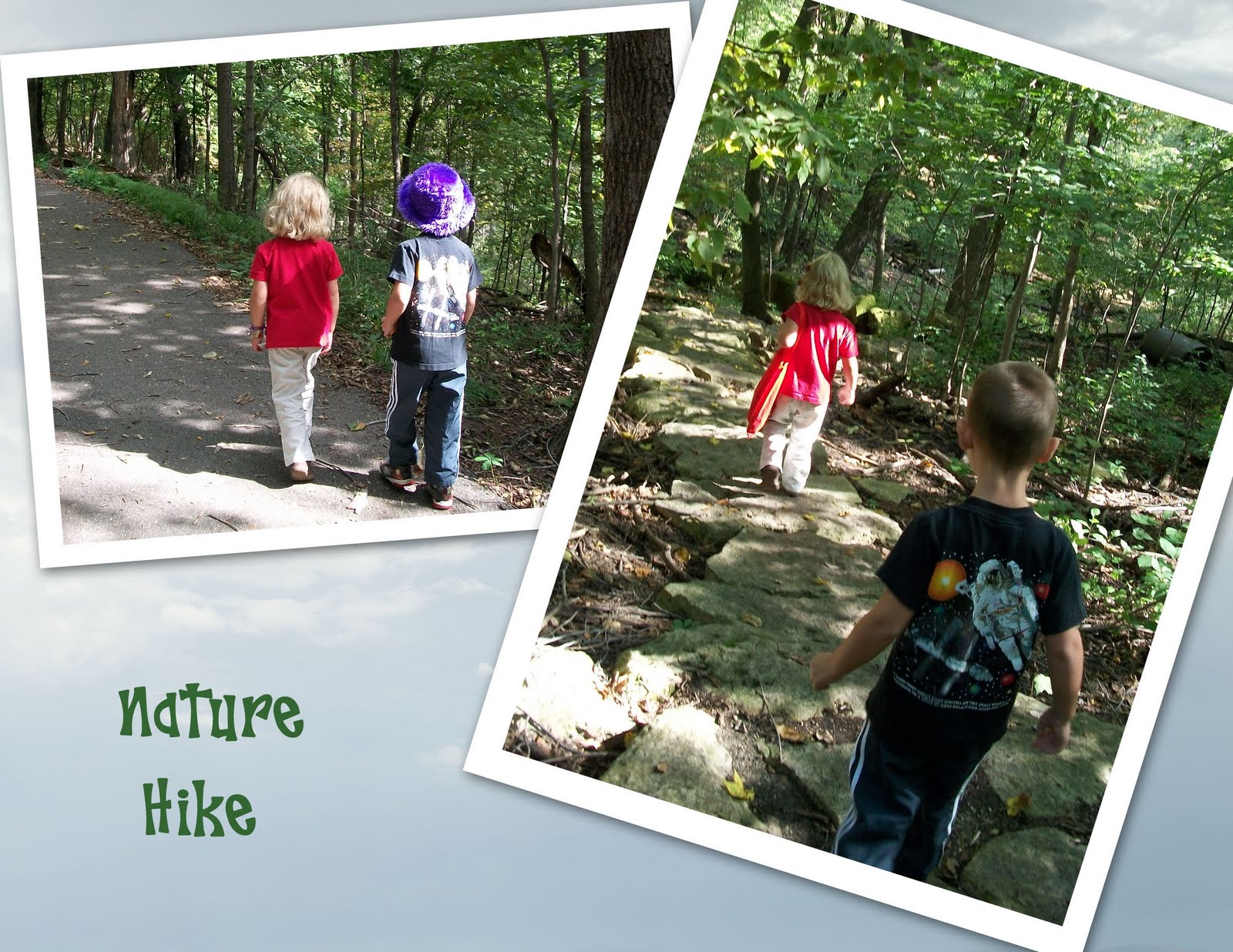 Nature Hike & Picnic Lunch