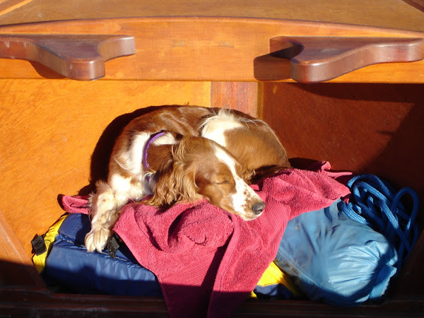 Below the deck, sleeps a dog