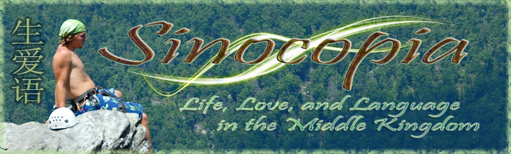 Sinocopia -- Life, Love, and Language in the Middle Kingdom