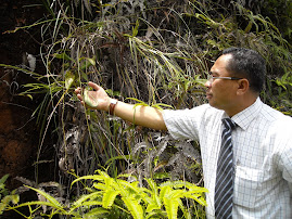 FLORA YANG SEMAKIN PUPUS