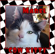 mabel cow kitty!