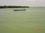 La Laguna de Cocinetas