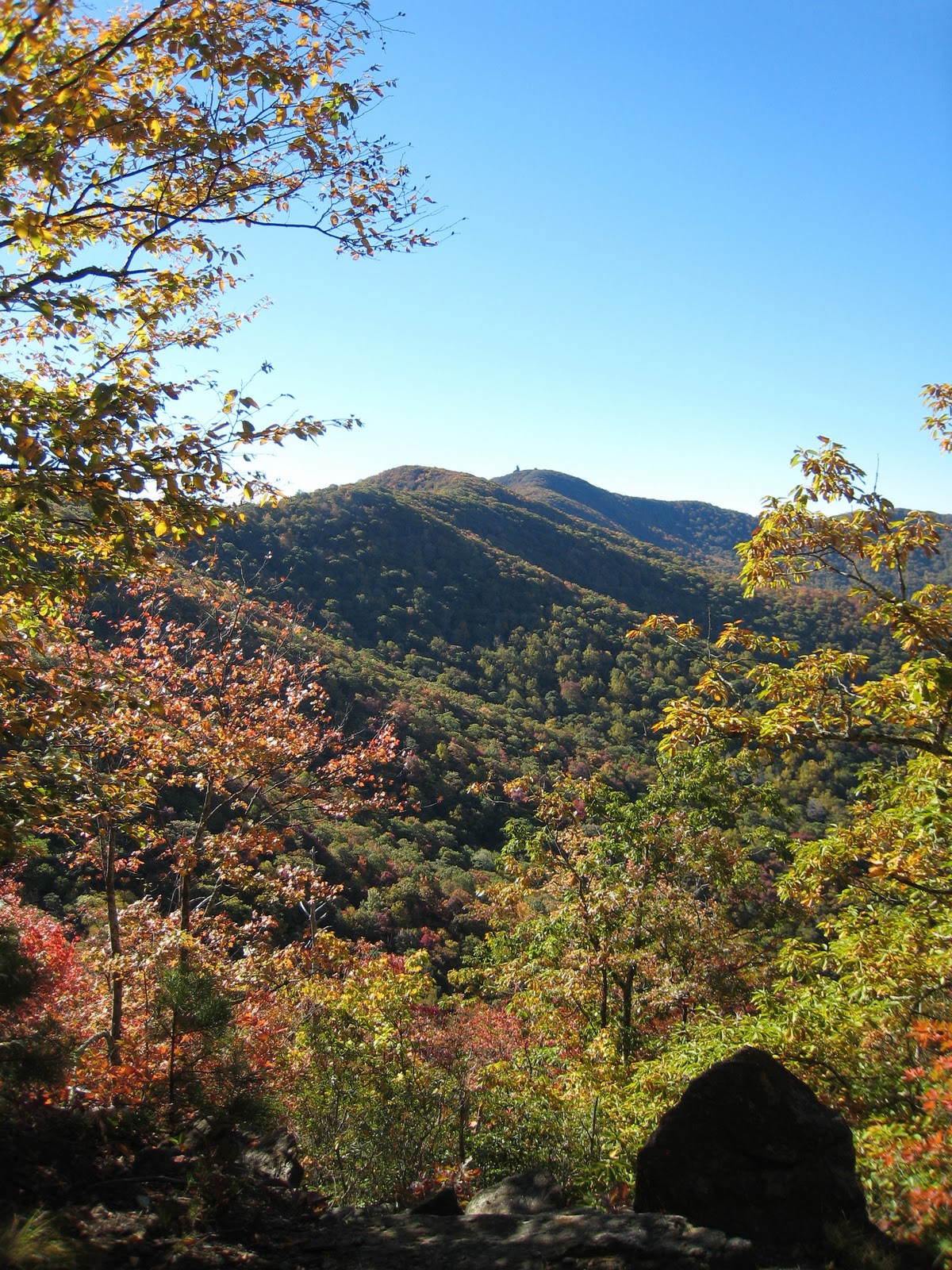 Rambling Hemlock Brasstown Bald with the Dames