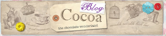 Cocoa- a Chocolate wonderland