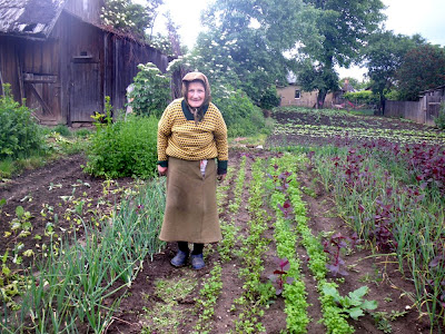 EDGAR HAUSTER: Rădăuţi - Radautz - Radóc - Radowce - Радівці - ראַדעװיץ