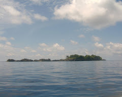 Pulau Jiu