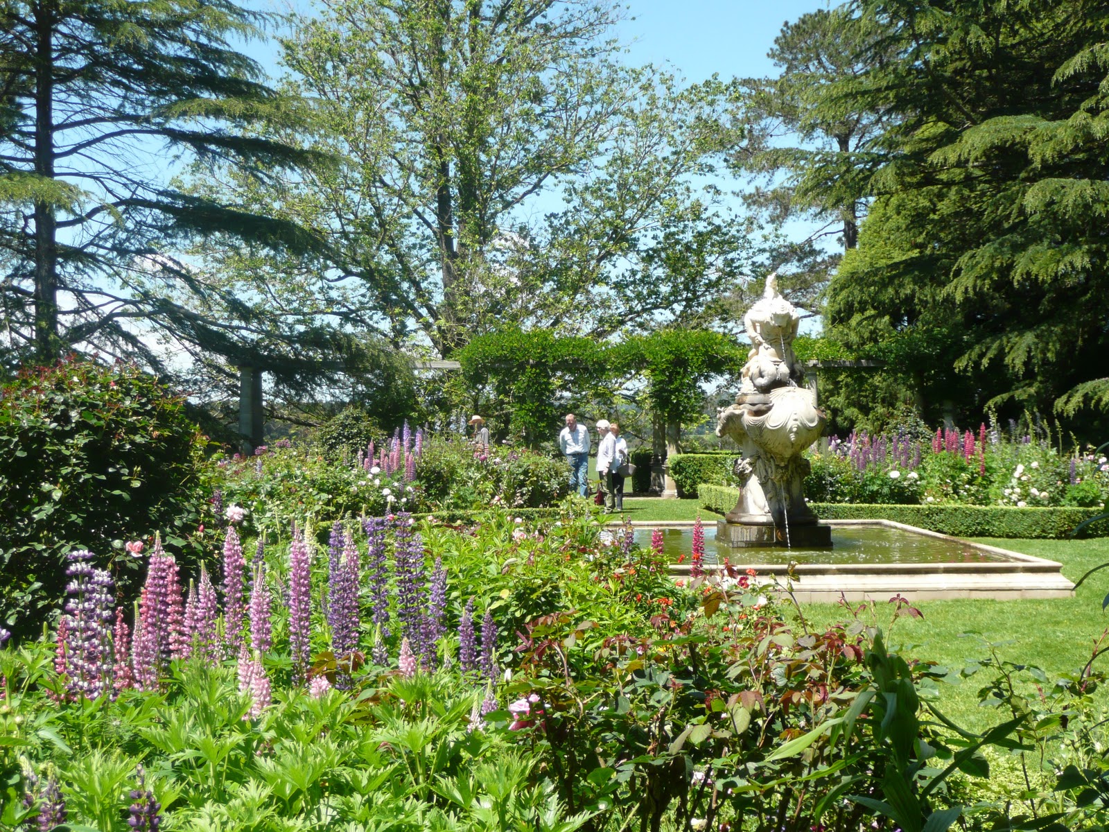 Gardening in the Southern Highlands Southern Highlands Gardens