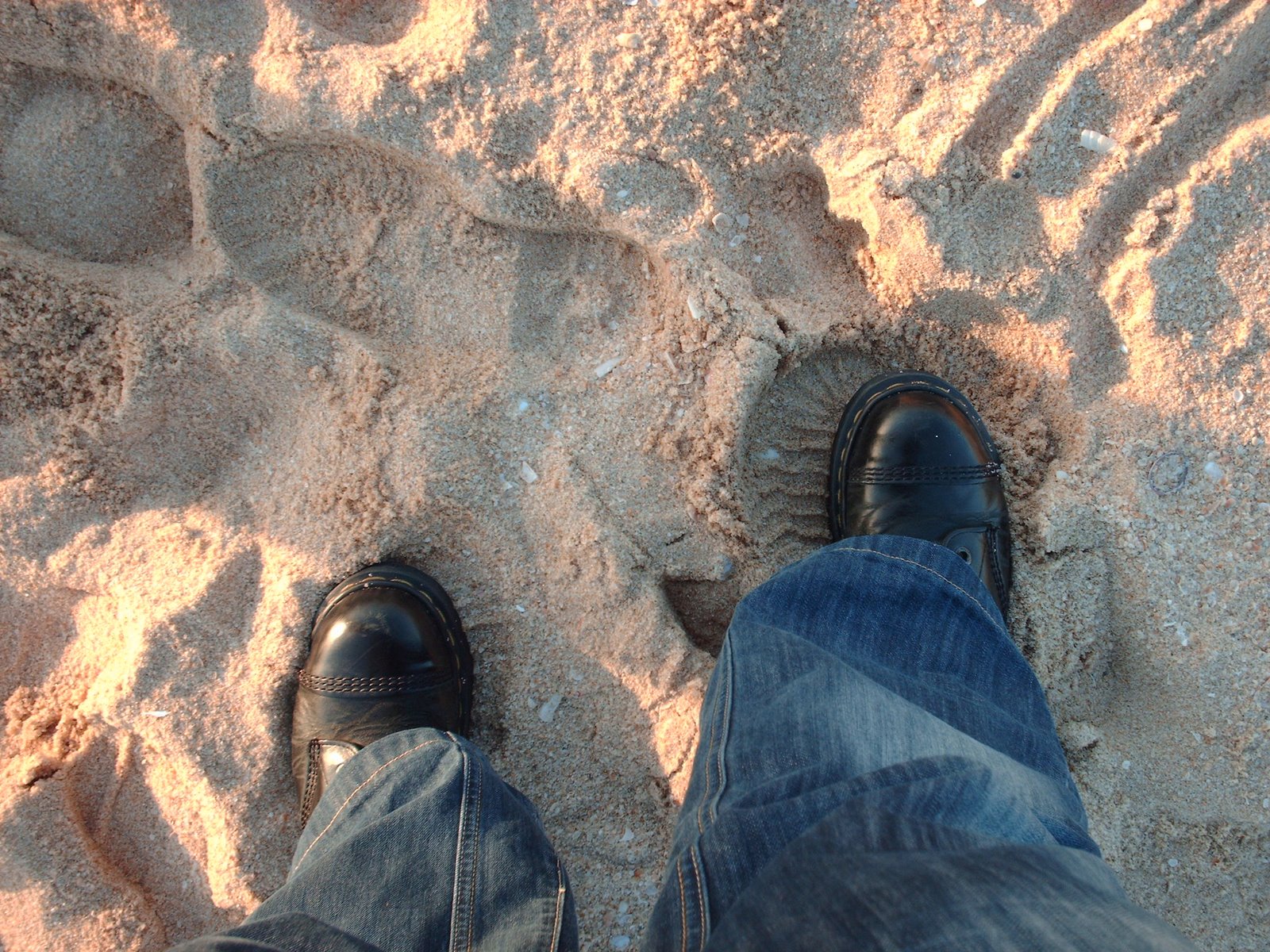 [troia_ou_nao+008.jpg]