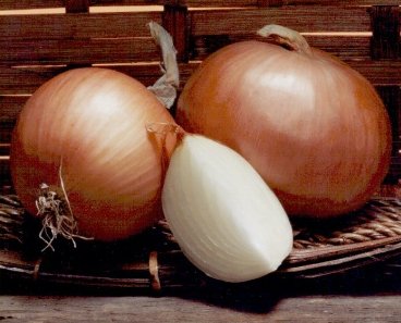 [cebola1.jpg]