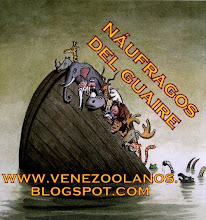 NÁUFRAGOS DEL GUAIRE: venezoolanos