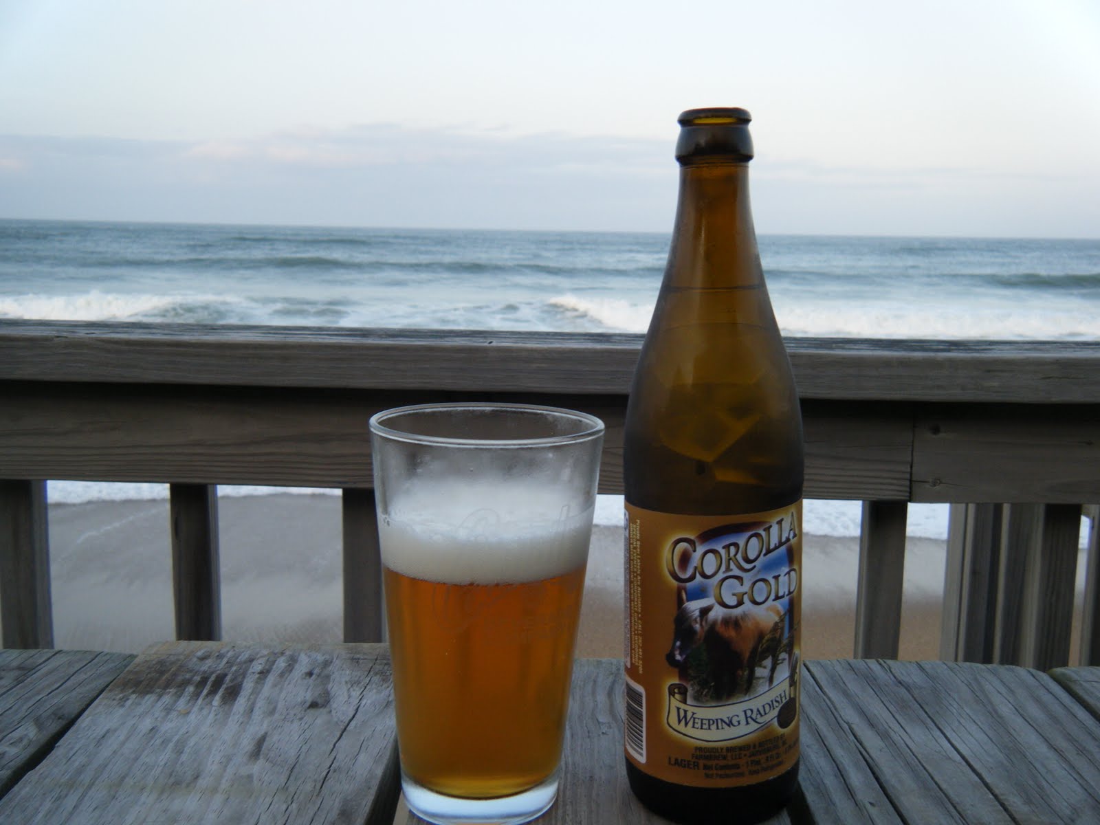 Koi Pond Brewery Rocky Mount North Carolina Beer