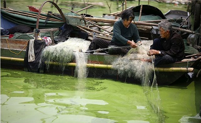 [Pescador+chines1.jpg]